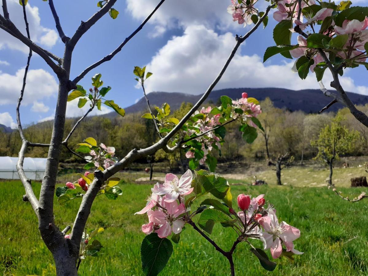 Ca Gennara Agri B&B Porretta Terme Luaran gambar