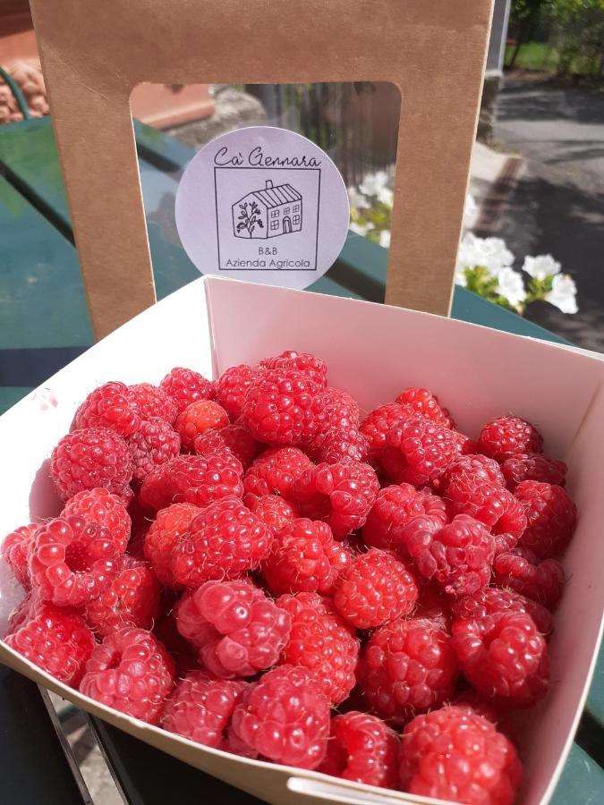 Ca Gennara Agri B&B Porretta Terme Luaran gambar
