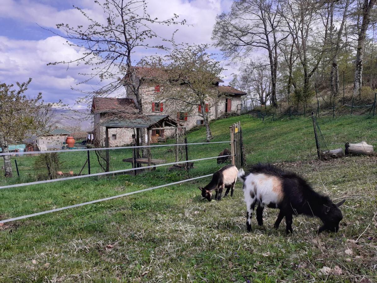 Ca Gennara Agri B&B Porretta Terme Luaran gambar