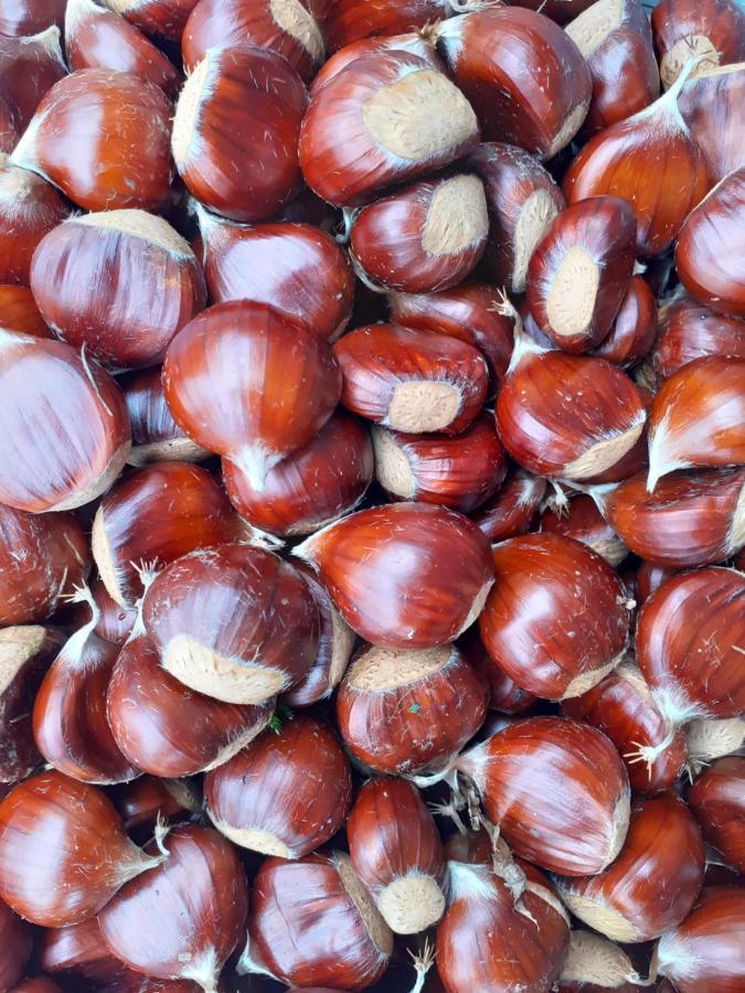 Ca Gennara Agri B&B Porretta Terme Luaran gambar