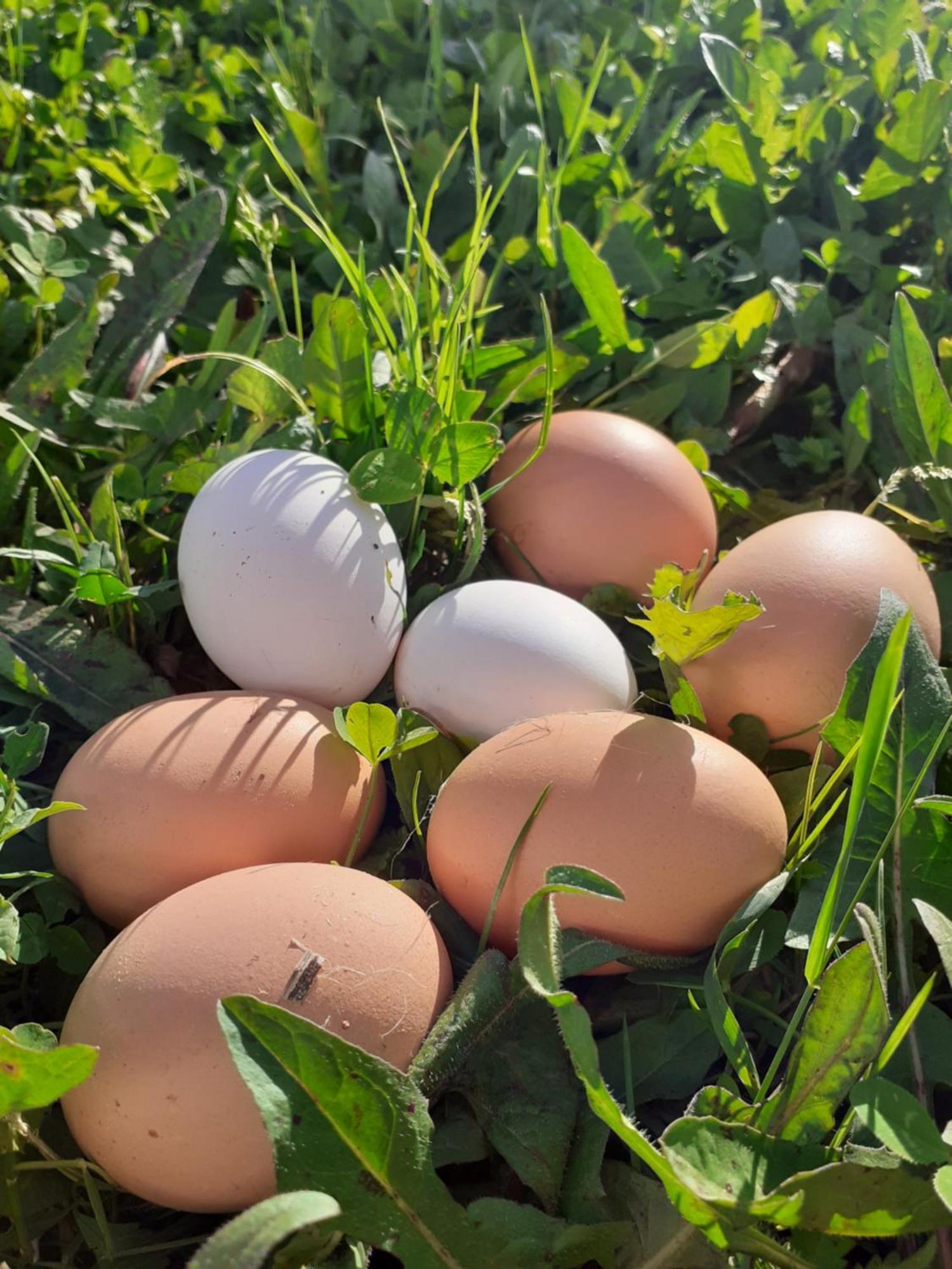 Ca Gennara Agri B&B Porretta Terme Luaran gambar